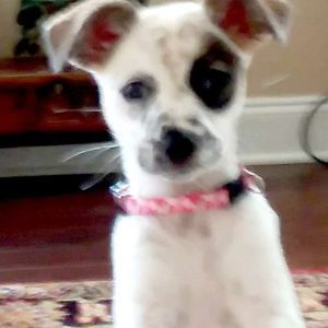 Meet your Posher, Jane